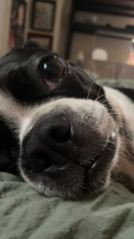 sexy anal-onlyfans heiße perfekte fotos