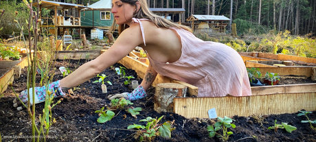 Nicolle Love beste archiv