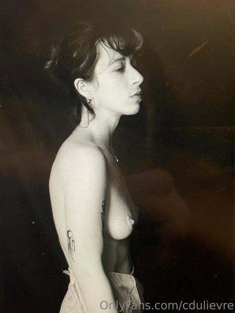 bruder onlyfans kunst top galerien