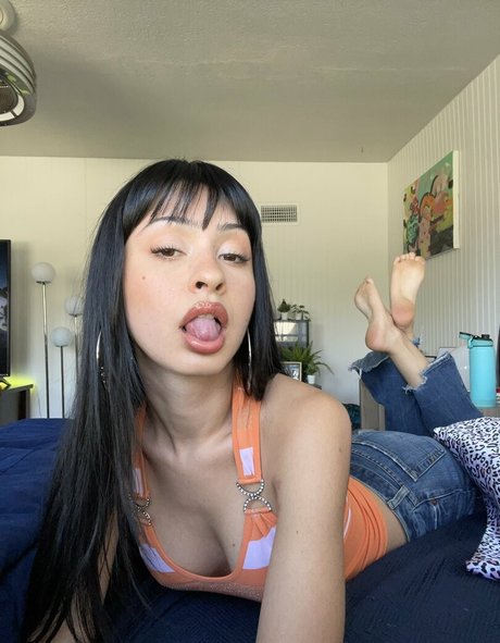 chovvder kostenlose hd foto