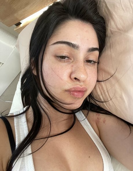 chovvder erotische pornografische galerie