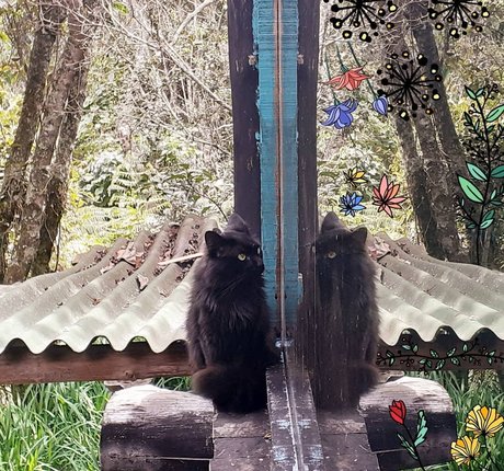 MakyMakys erwachsene xxx foto