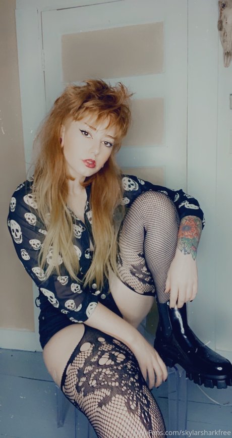 Skylarshark beste kunst galerie