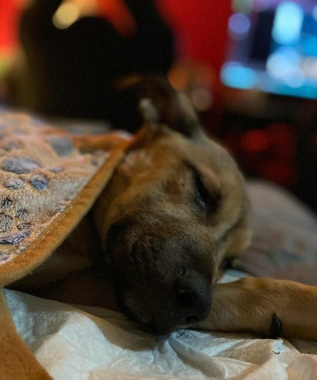 große latina-onlyfans xxx kunst bilder