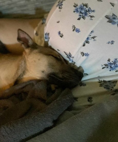 bbw interracial onlyfans porno kunst archiv