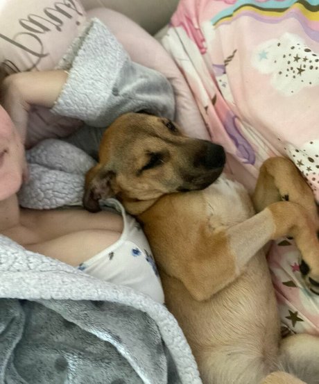 lockiges ebenholz nur fans hd kunst bilder