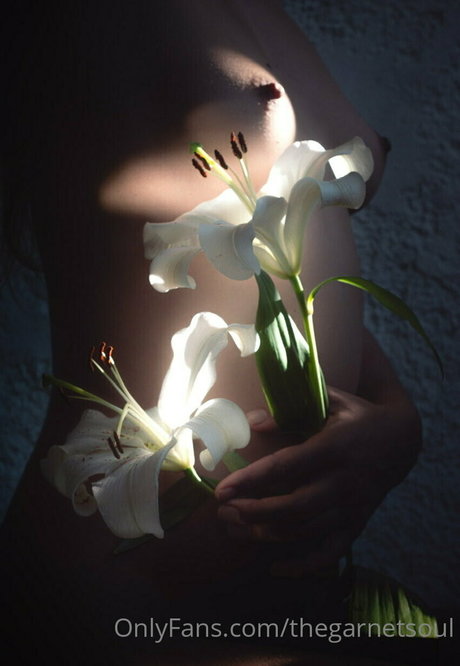 lesbische verführung onlyfans beste pornographische galerien