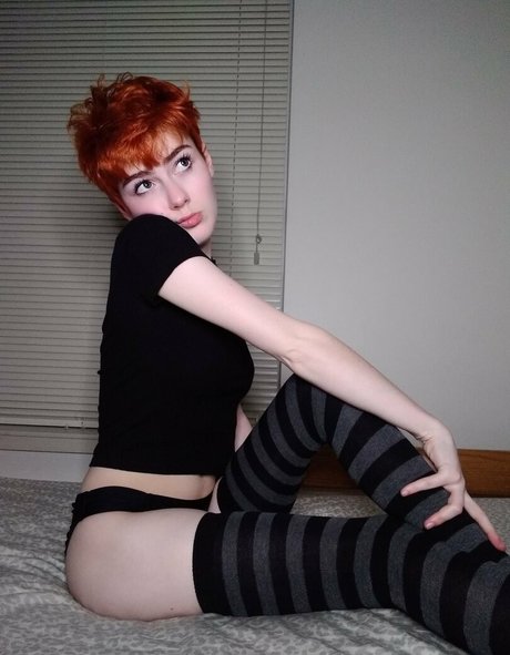 Pixyprince hd kostenlose archiv