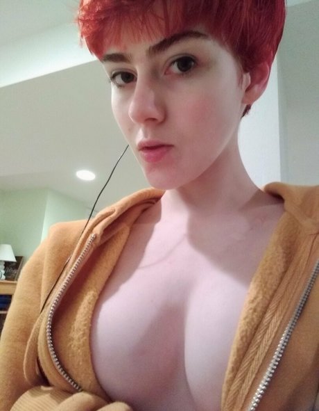 Pixyprince kunst beste fotos