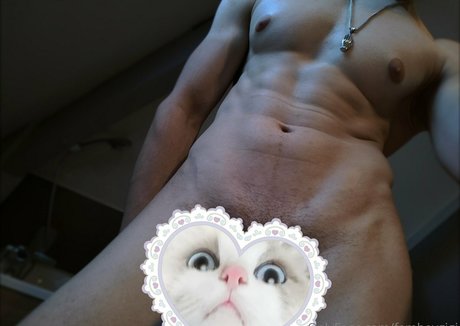 femboygigi beste pornographische bild