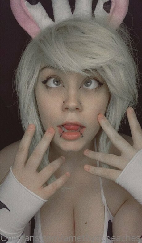 nogitsunespice perfekte nette bilder