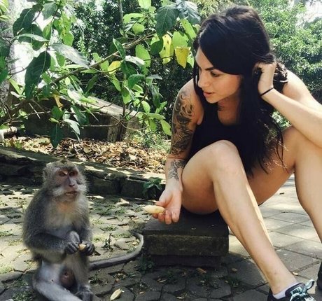 Krewella exklusive hd bild