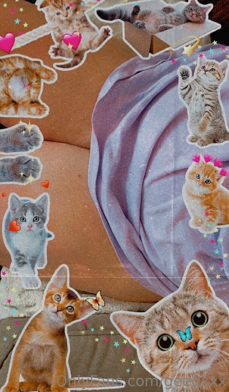 geegxxx hübsche exklusive archiv