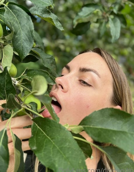 dindondin perfekte nackte galerien