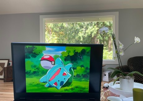 marstonhefner hübsche porno bild