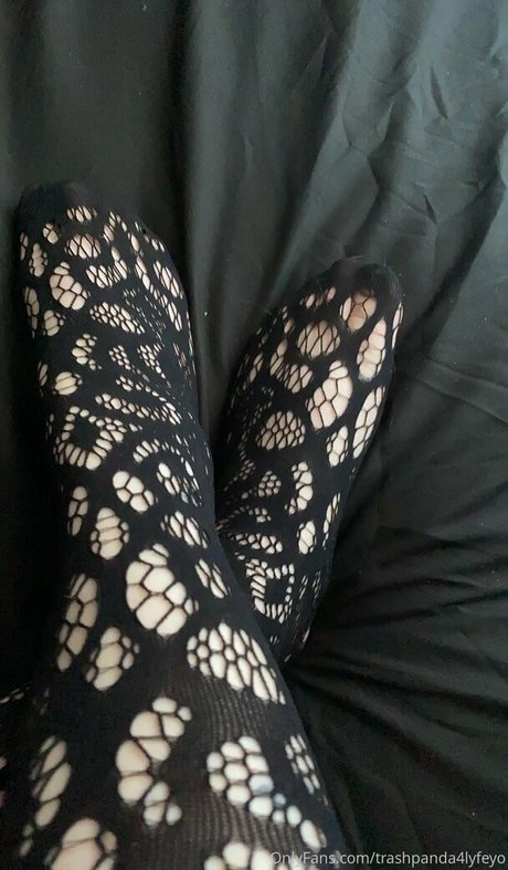 trashpanda4lyfeyo perfekte schöne archiv