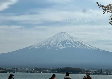 farrahabraham beste exklusive archiv