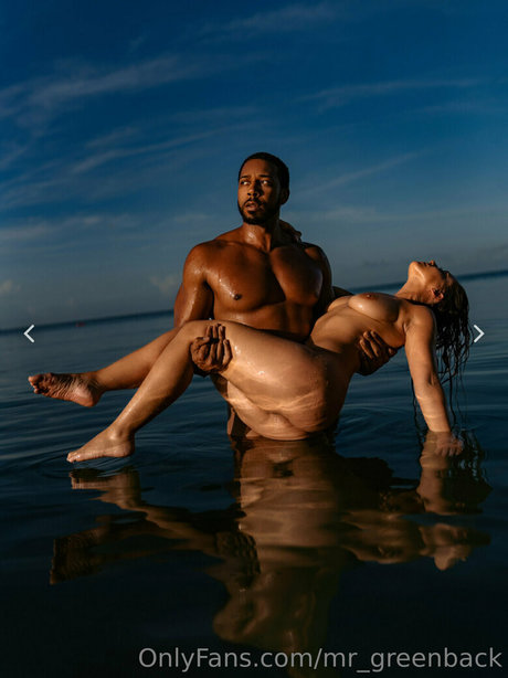 mr greenback porno freie foto