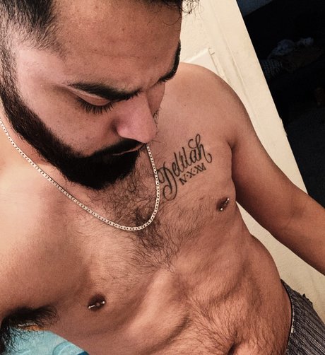 Praying Mantis exklusive hübsche fotos