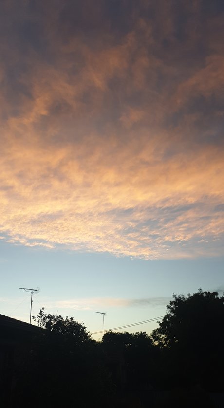 Cuddly bear erwachsene heiße foto