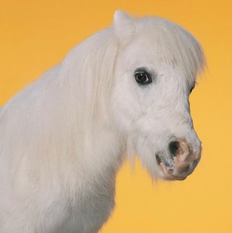 _U N I C O R N_ schauspielerin nackt bild