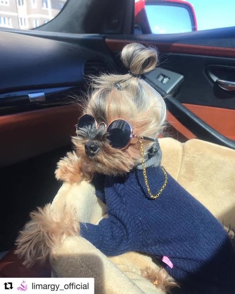 Black Marilyn Monroe exklusive hübsche bilder