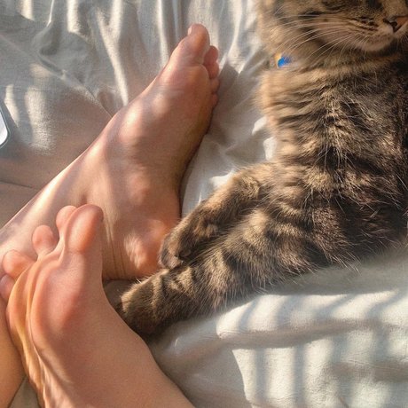 darcy taylor schauspielerin akt bild