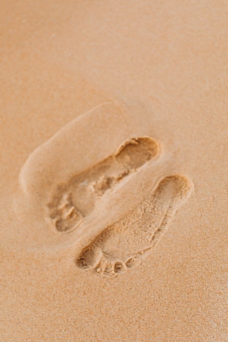 FootsiePop top pornografische bild