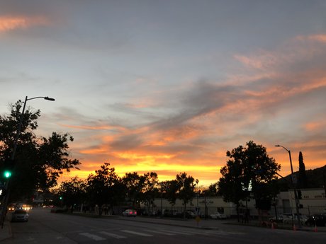 BeardedWizard schauspielerin heiße bilder