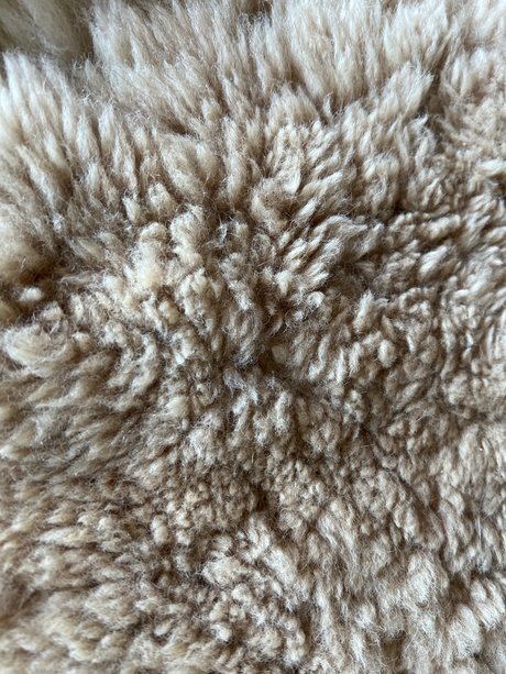 Longtoelola xxx beste bilder