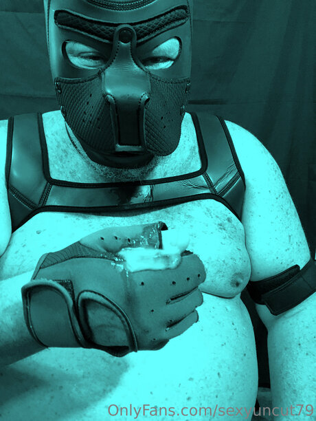 Rick Bear Pup Dancer sexy hd bilder