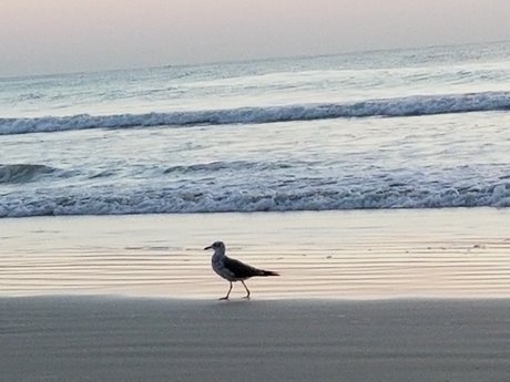 stiefmutter nur fans sexy pornografische archiv