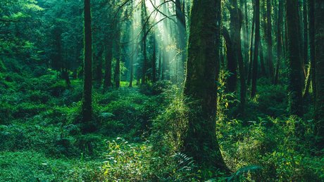 u211992439 perfekte akt bilder