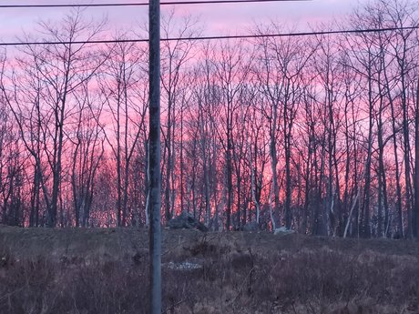 Pocky Kitty pornostar hübsche bilder