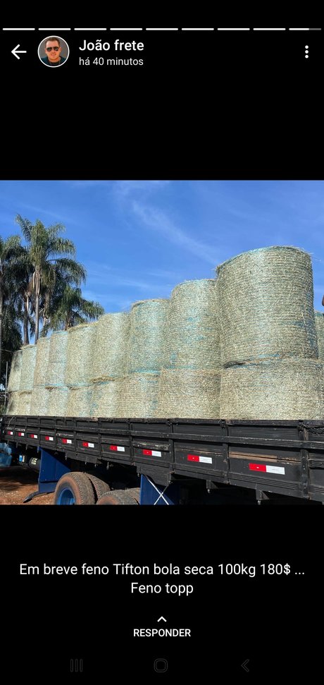 Tania Alvez exklusive nackte bild