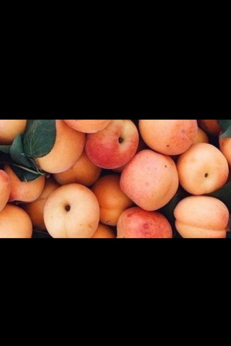 Aden pornostar nackte bilder