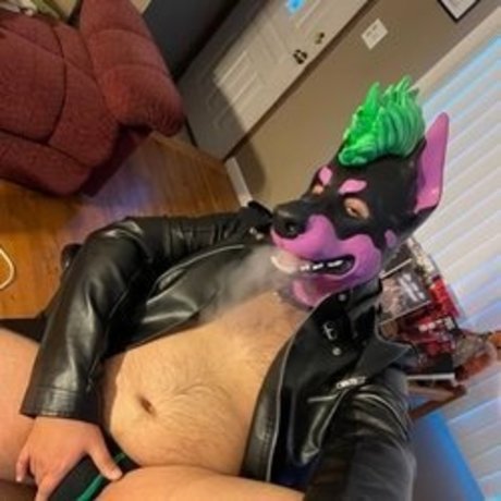 Izzy T AKA Pup Silo top erwachsene archiv