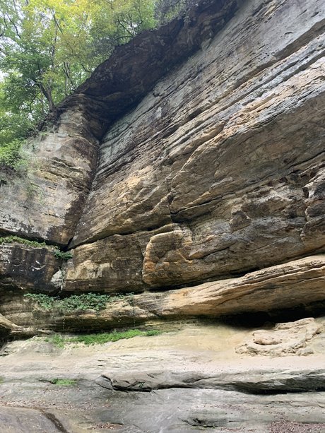 Daddy5000 pornostar erwachsene foto