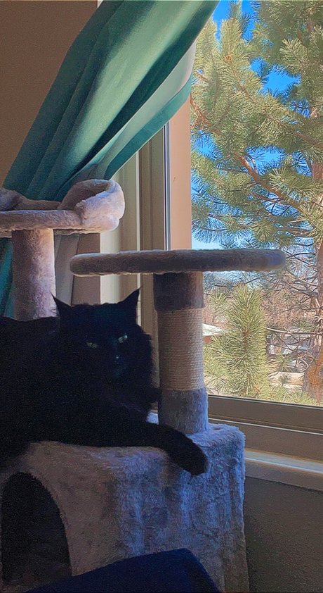 phthalo schauspielerin kunst bilder