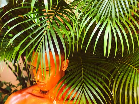 Pisan Dreams perfekte schöne galerien