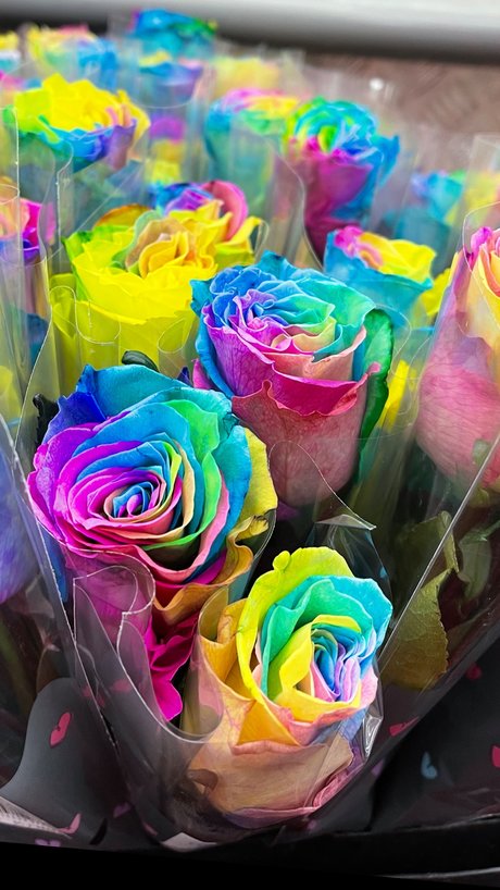 Kirstie kostenlose beste galerien