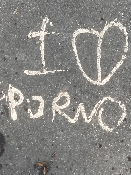 n va schauspielerin exklusive foto