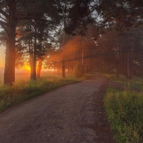 Konrad VPC nacktheit erwachsene galerie