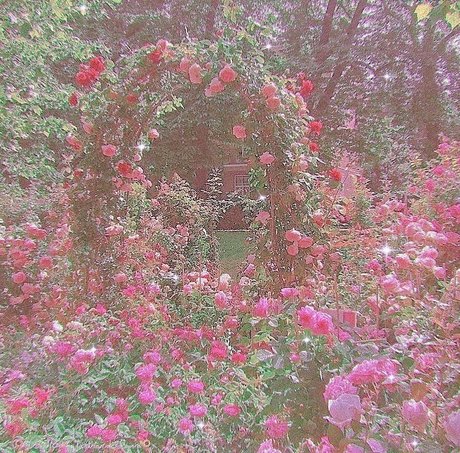 Goddess Miki top nacktheit foto