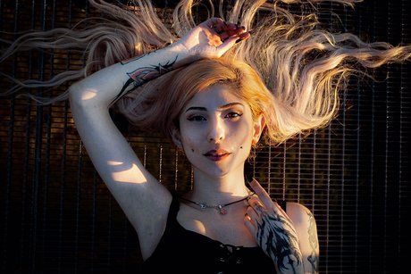 Madame Orchid top freie galerie