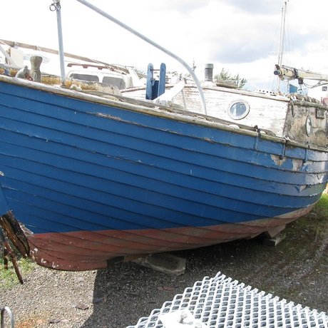 AlcyoneTheSeaking model schöne archiv