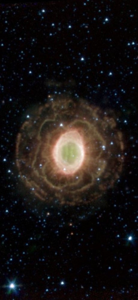 chii erwachsene top bilder