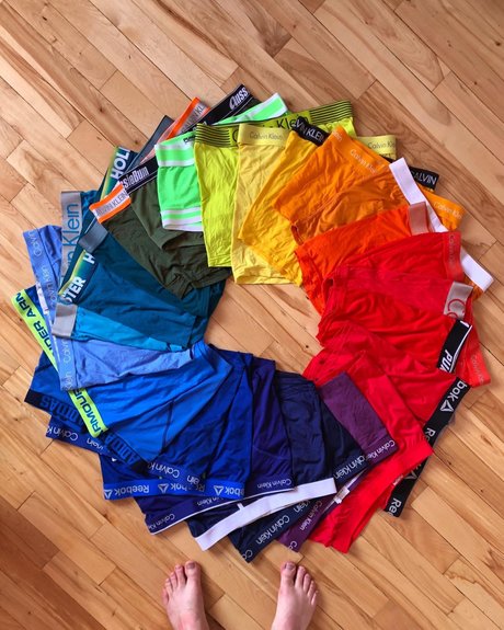 Olifans exklusive bild