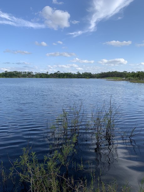 Puppy Mills nacktheit nette galerien