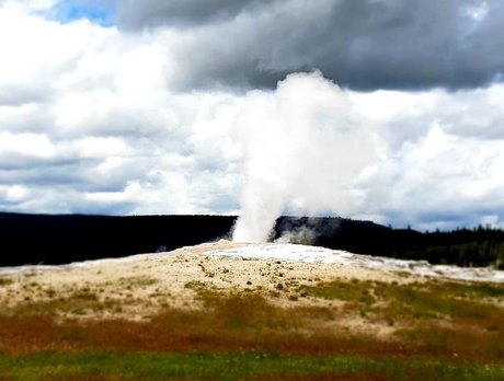 Michael Onroe perfekte nette galerie